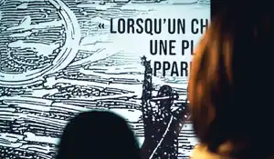 Mapping monumental exposition Voyage au centre de la terre - Musée Alfred Canel - Pont Audemer 2025